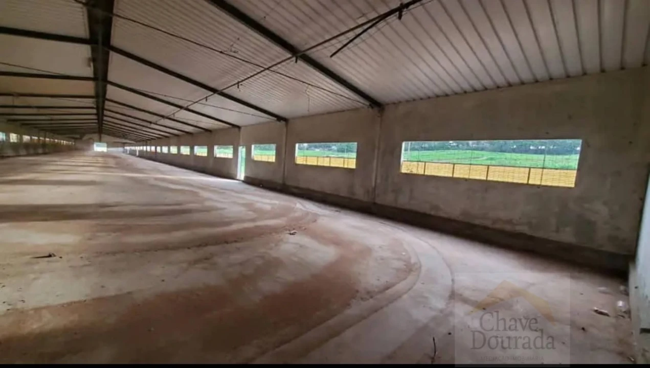 Armazém para Arrendamento em Almalagues Foto 3