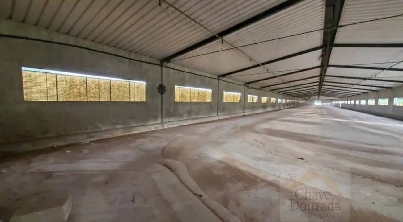 Armazém para Arrendamento em Almalagues Foto 5