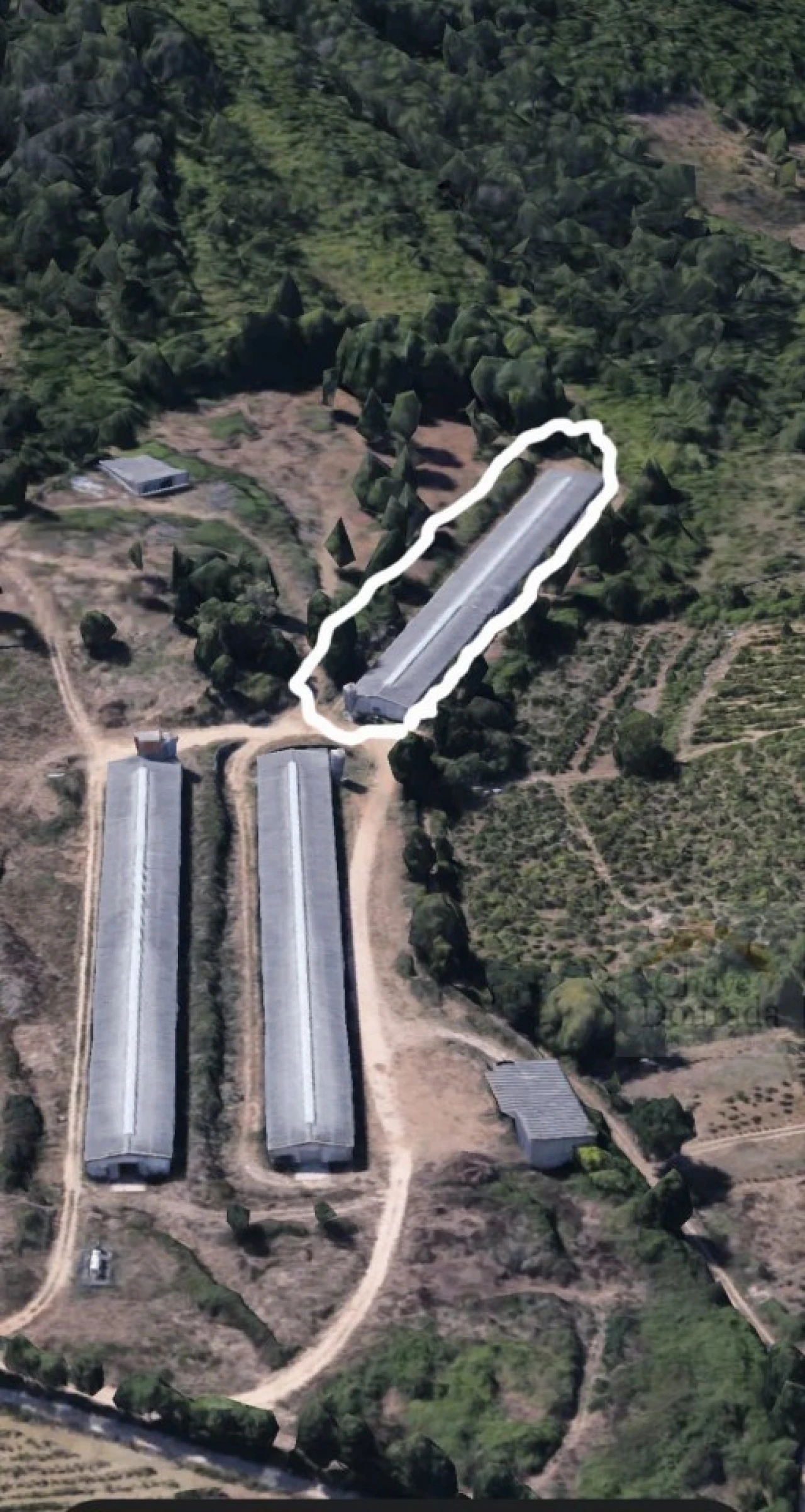 Armazém para Arrendamento em Almalagues Foto 7