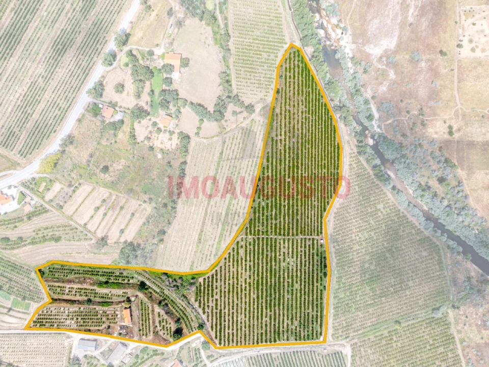 Quinta T3 para Venda em Valhelhas Foto 2