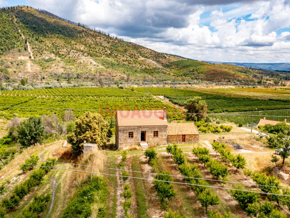 Quinta T3 para Venda em Valhelhas Foto 5