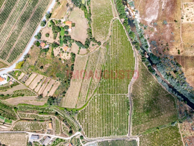 Quinta T3 para Venda em Valhelhas Foto 3