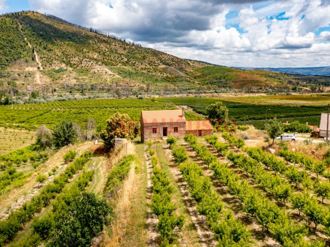 Quinta T3 para Venda em Valhelhas Foto 4