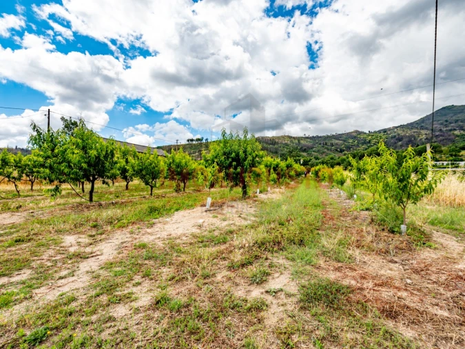 Quinta T3 para Venda em Valhelhas Foto 11