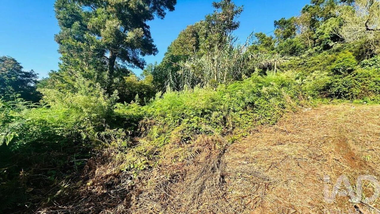 Terreno para Venda em Santana Foto 29