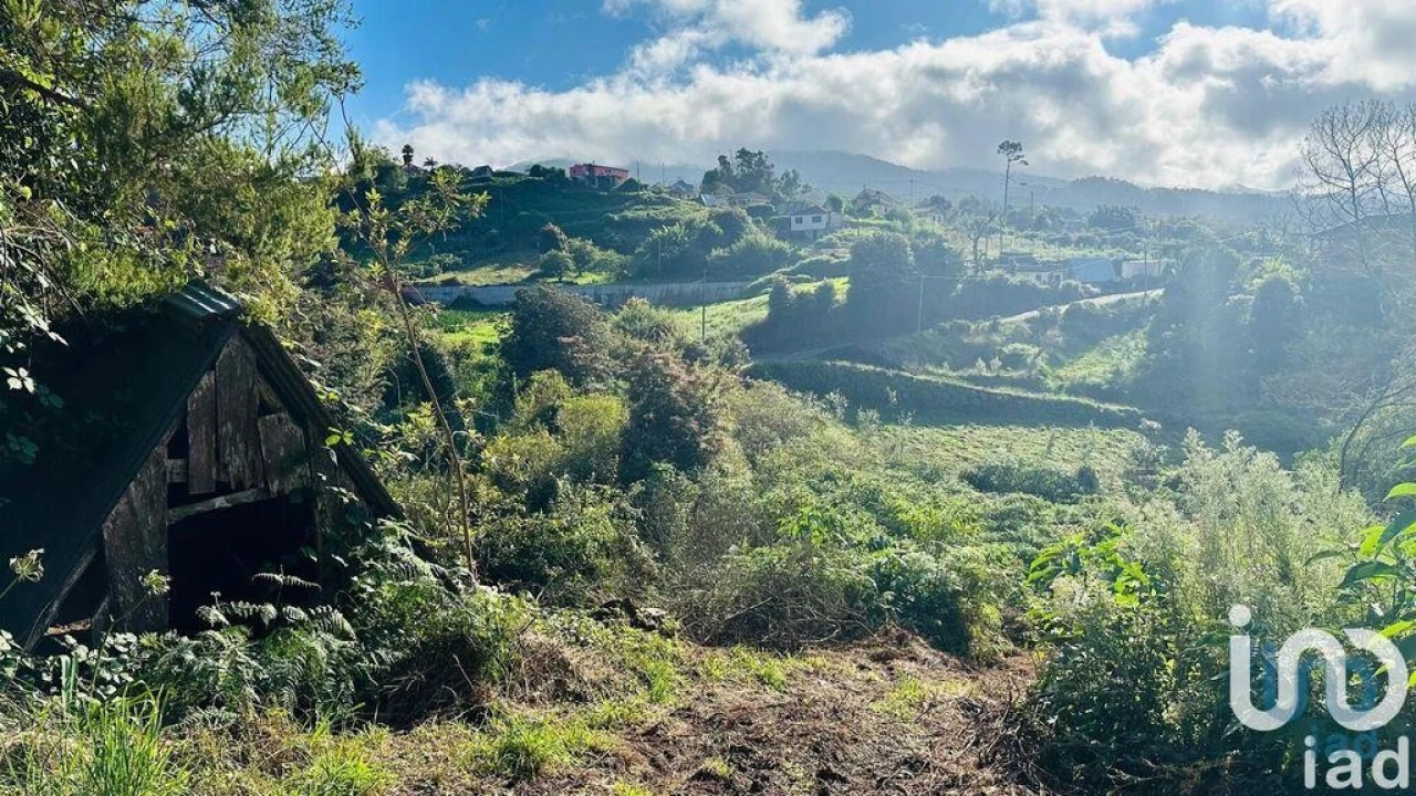 Terreno para Venda em Santana Foto 11