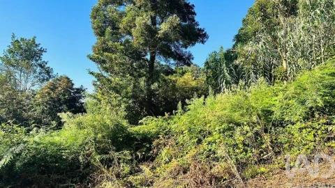 Terreno para Venda em Santana