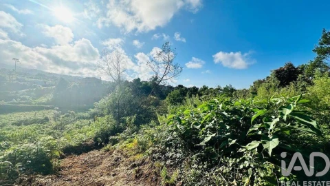 Terreno para Venda em Santana
