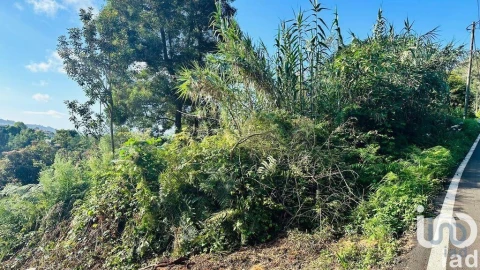 Terreno para Venda em Santana