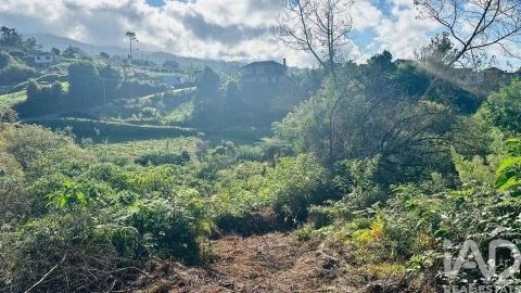 Terreno para Venda em Santana