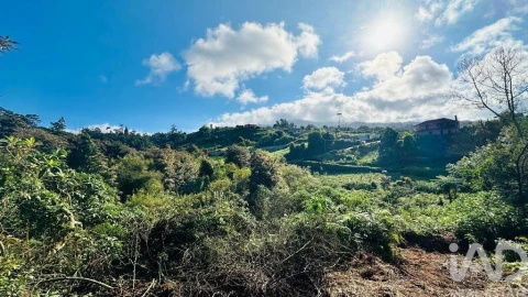 Terreno para Venda em Santana