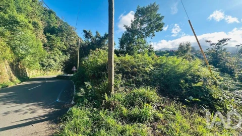 Terreno para Venda em Santana