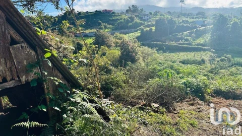 Terreno para Venda em Santana