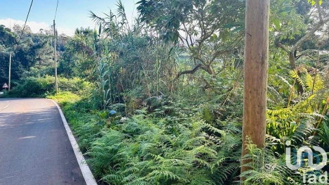 Terreno para Venda em Santana