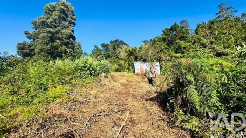 Terreno para Venda em Santana