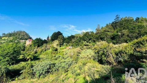 Terreno para Venda em Santana