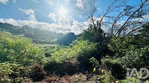 Terreno para Venda em Santana