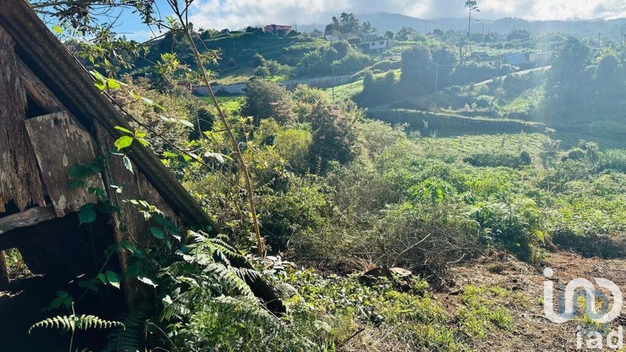 Terreno para Venda em Santana Foto 14