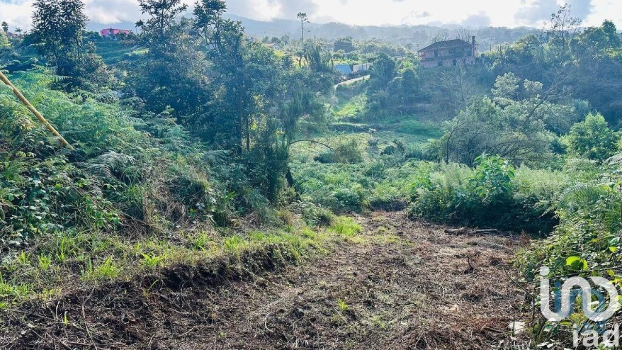 Terreno para Venda em Santana Foto 7
