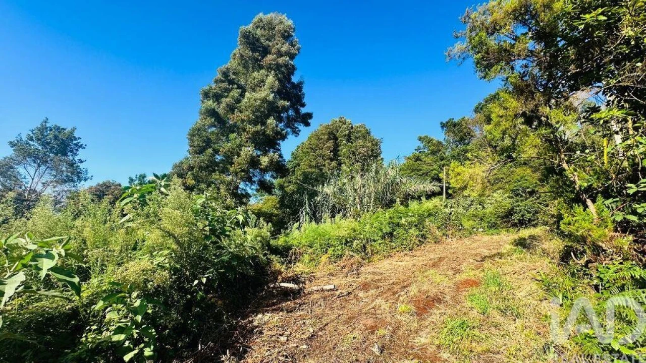 Terreno para Venda em Santana Foto 24