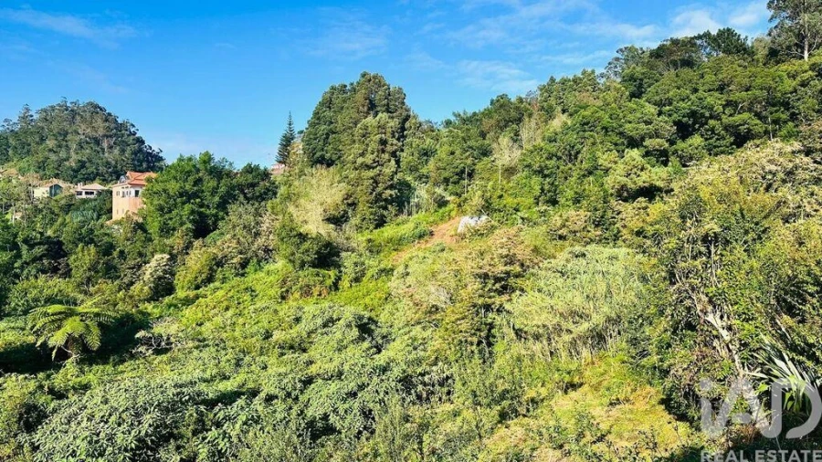 Terreno para Venda em Santana Foto 38
