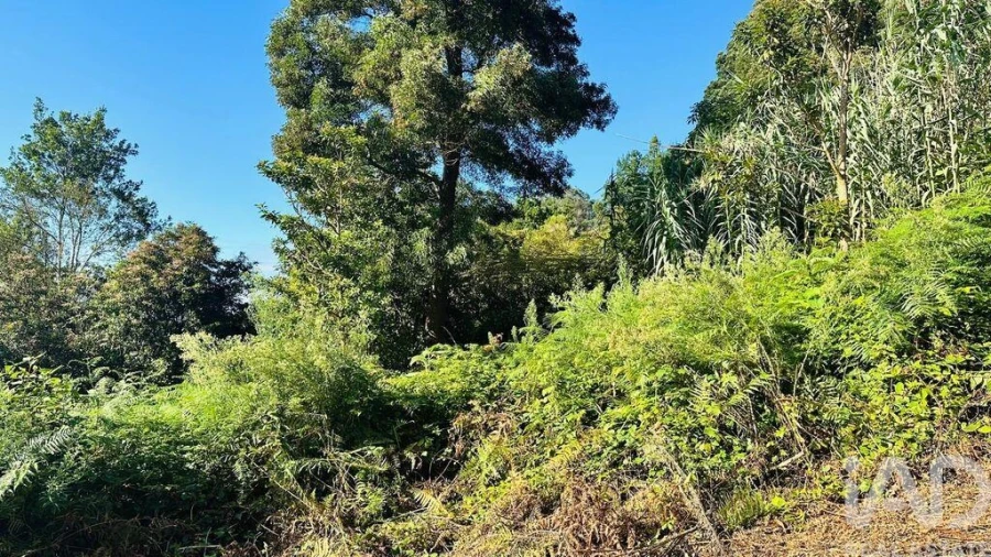 Terreno para Venda em Santana Foto 16
