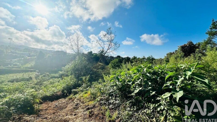 Terreno para Venda em Santana Foto 23