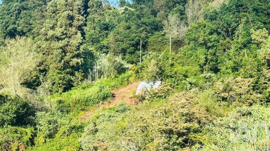 Terreno para Venda em Santana Foto 37