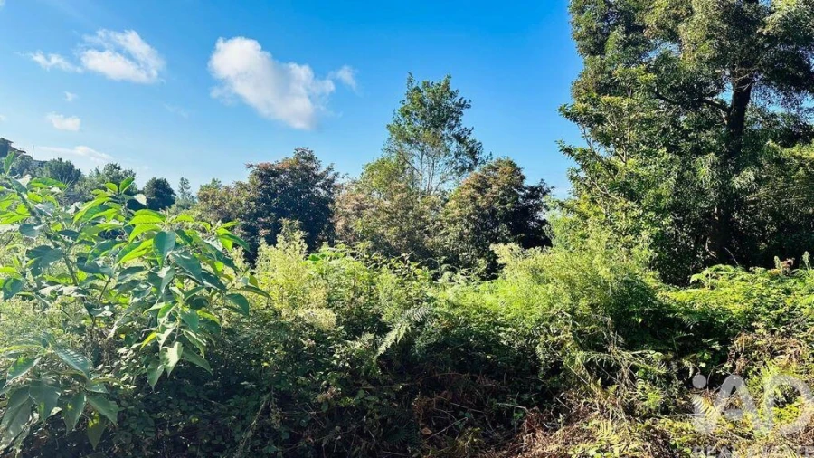 Terreno para Venda em Santana Foto 17