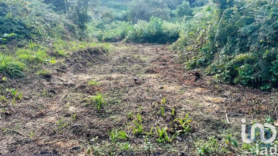 Terreno para Venda em Santana Foto 4