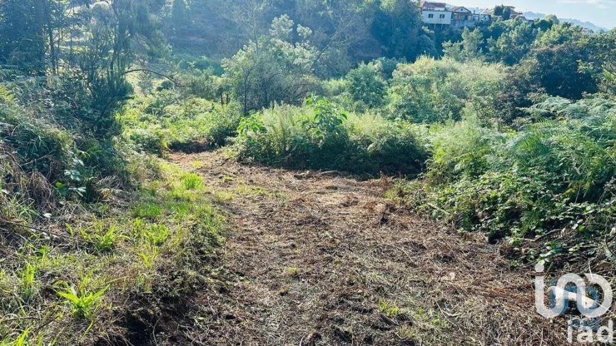 Terreno para Venda em Santana Foto 12