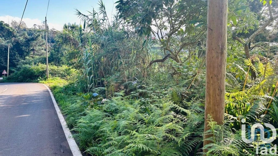 Terreno para Venda em Santana Foto 2