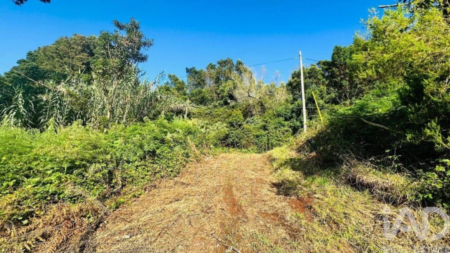 Terreno para Venda em Santana Foto 30