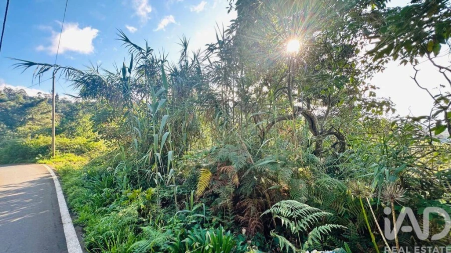 Terreno para Venda em Santana Foto 35
