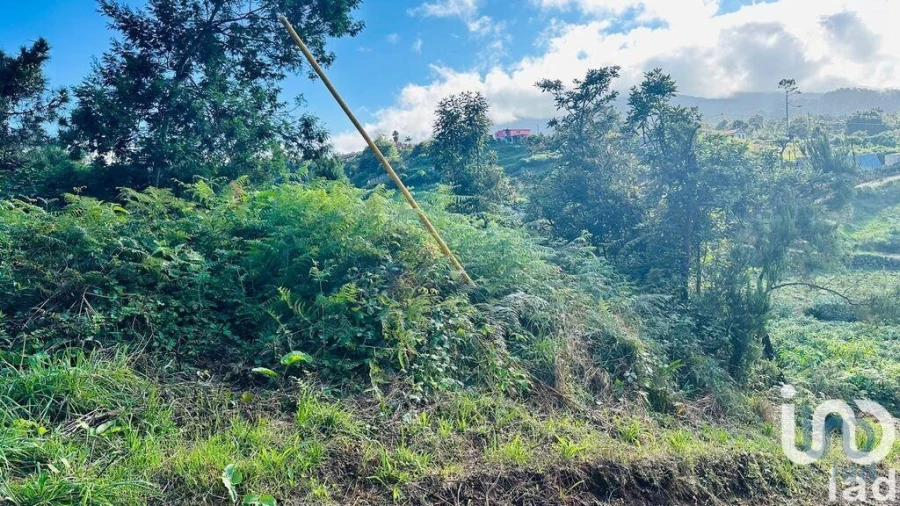 Terreno para Venda em Santana Foto 8