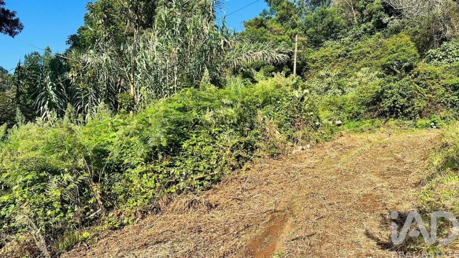 Terreno para Venda em Santana Foto 15