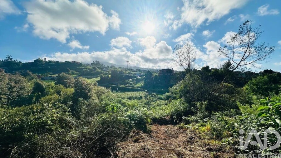 Terreno para Venda em Santana Foto 21