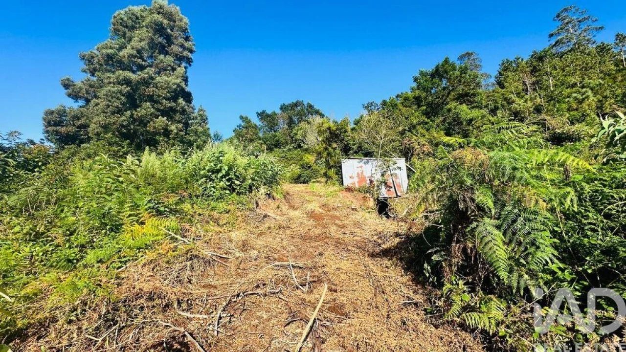 Terreno para Venda em Santana Foto 25