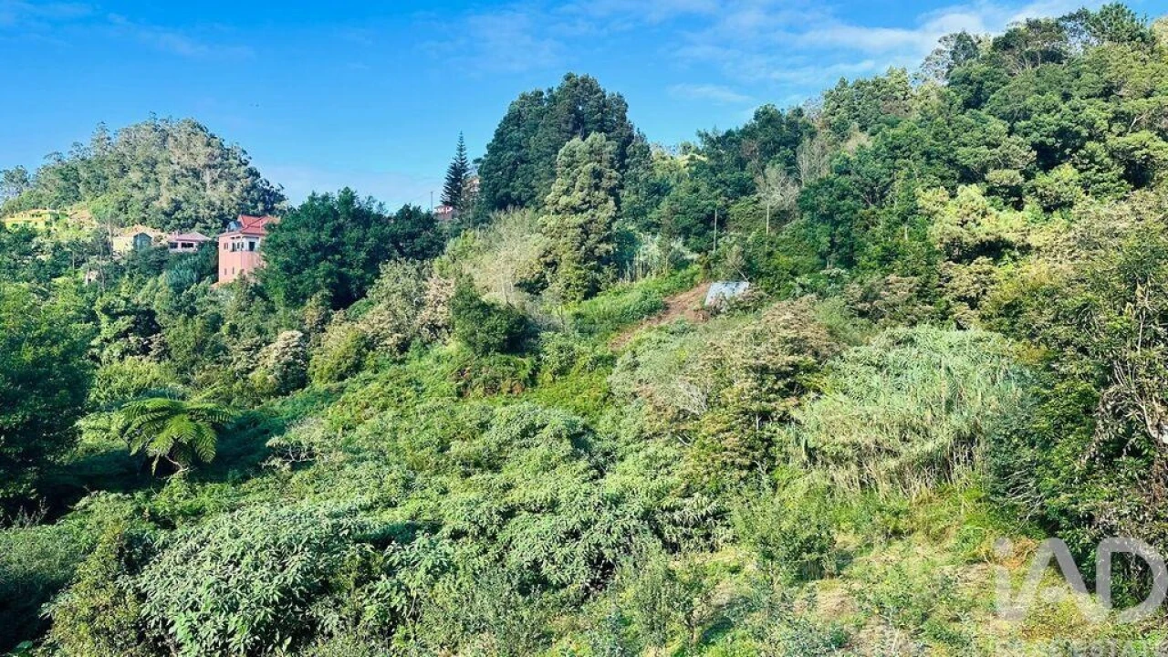 Terreno para Venda em Santana Foto 36