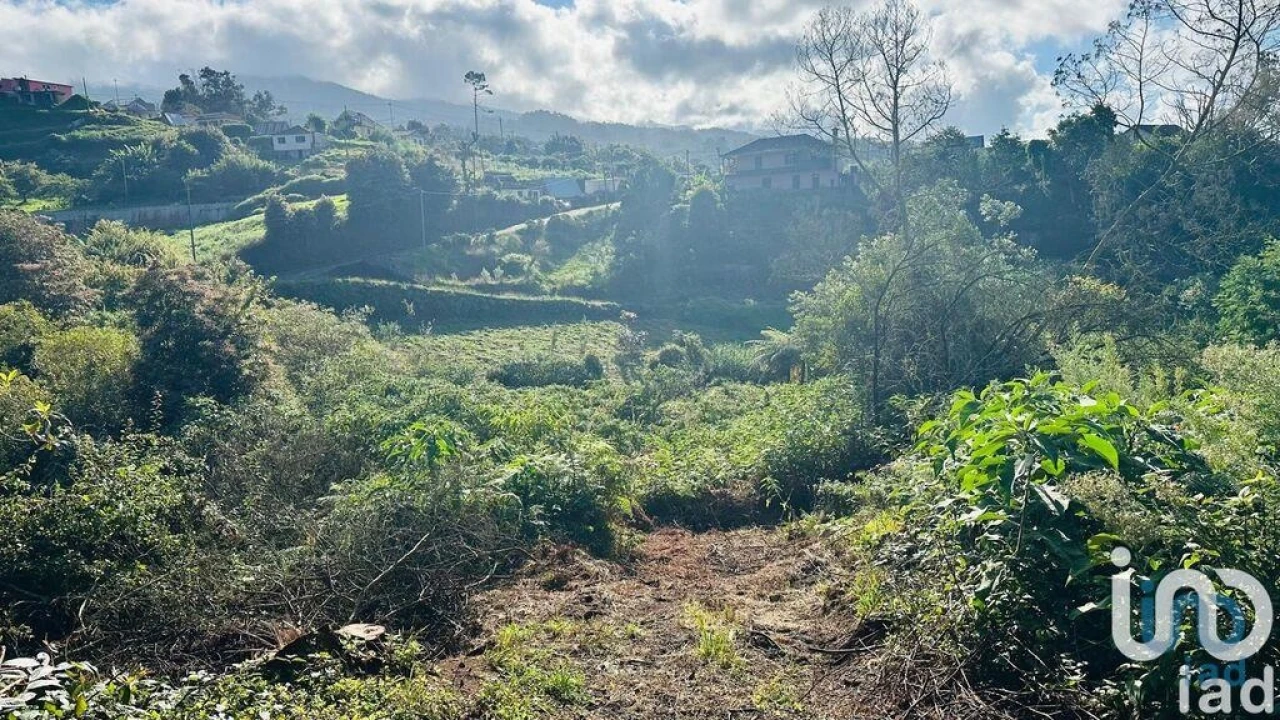 Terreno para Venda em Santana Foto 13