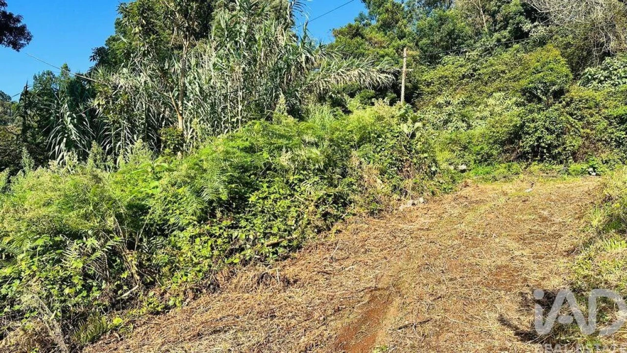 Terreno para Venda em Santana Foto 15