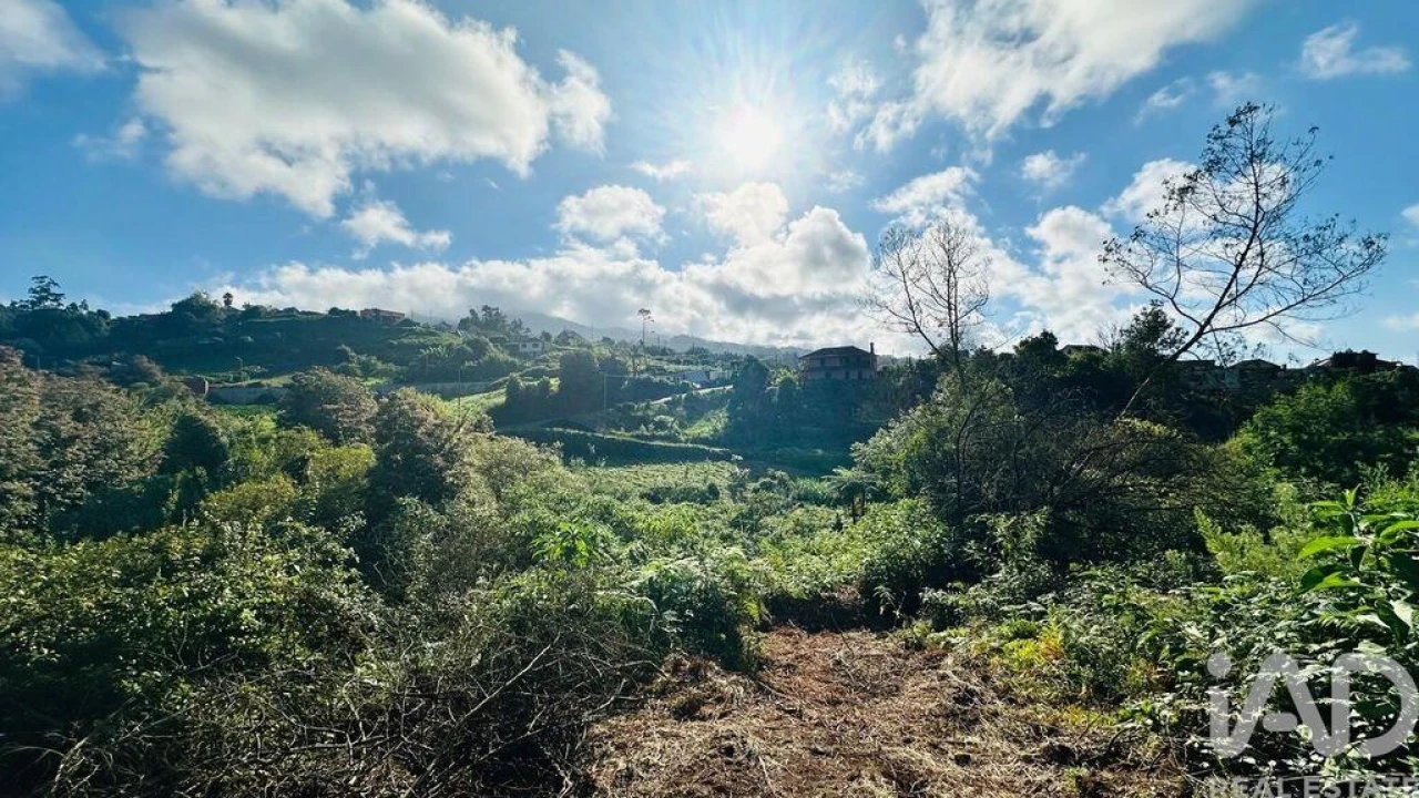 Terreno para Venda em Santana Foto 21