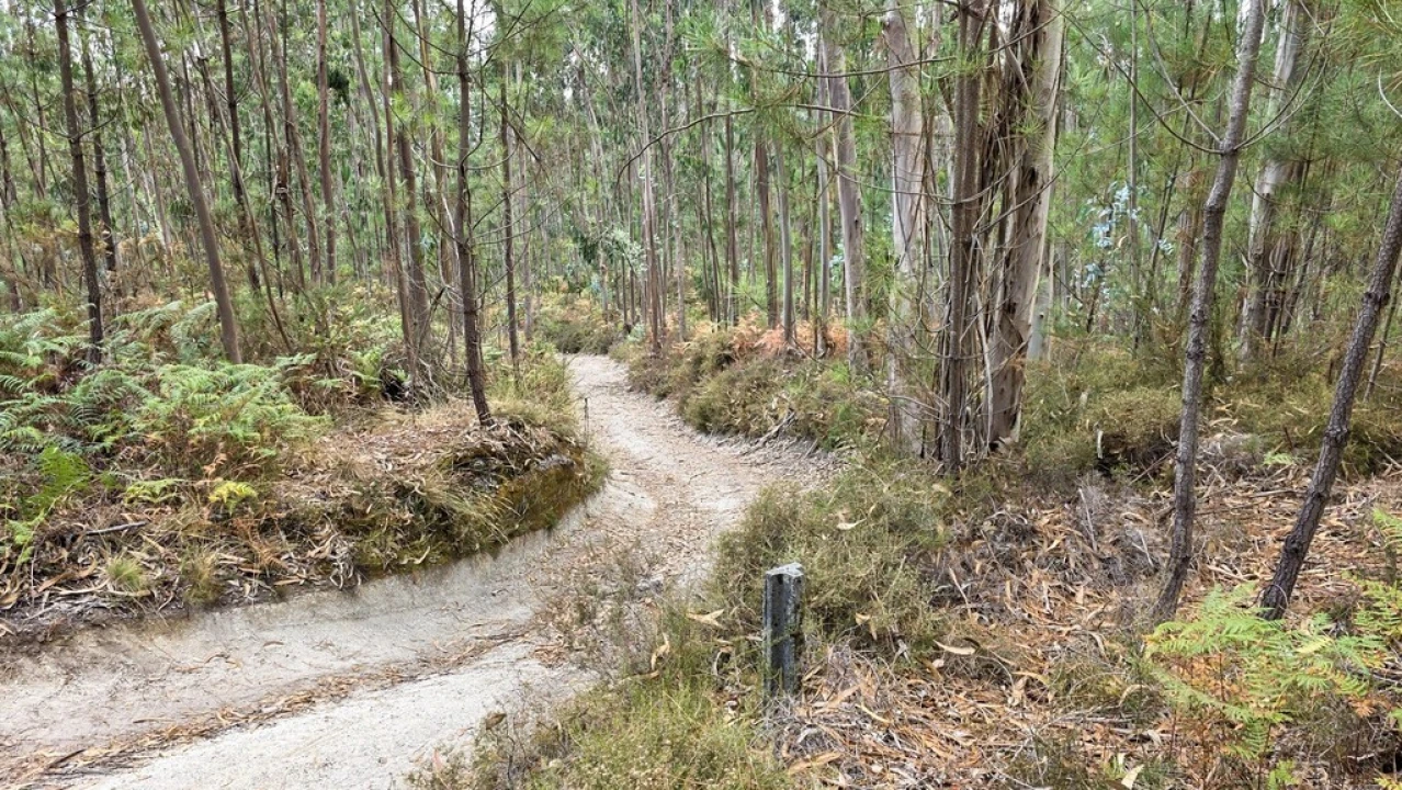 Terreno para Venda em Mosteiro Foto 4