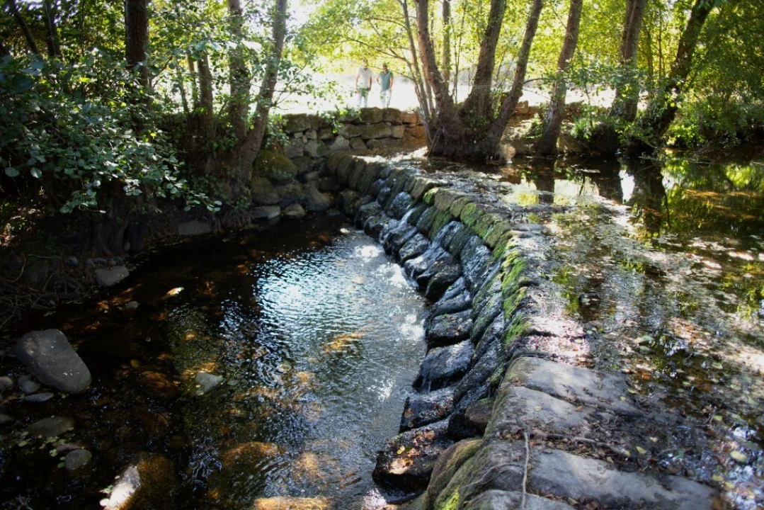 Quinta T5 para Venda em Moimenta da Serra e Vinhó Foto 10
