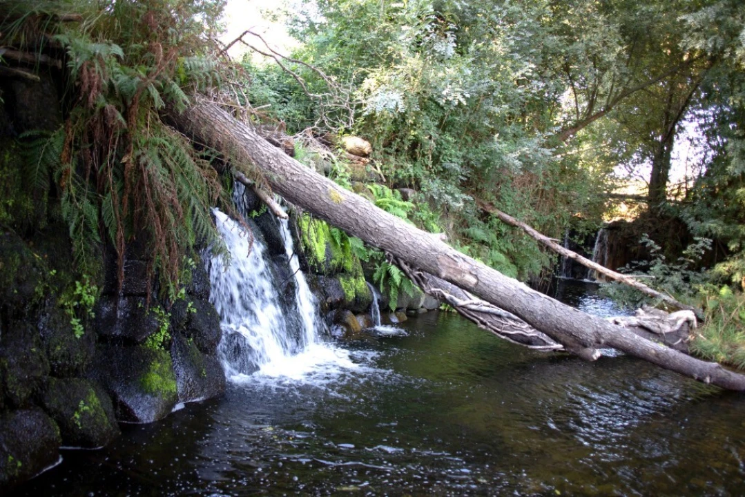 Quinta T5 para Venda em Moimenta da Serra e Vinhó Foto 6