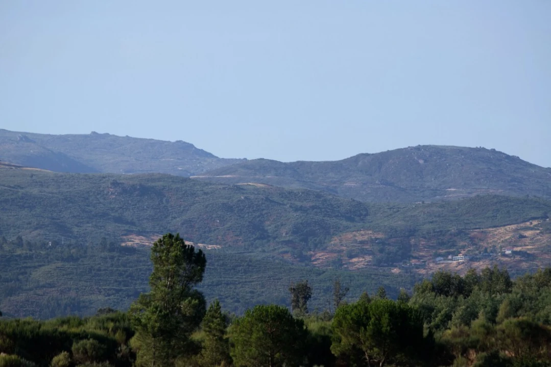 Quinta T5 para Venda em Moimenta da Serra e Vinhó Foto 3