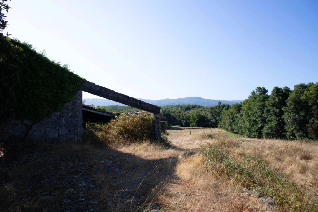 Quinta T5 para Venda em Moimenta da Serra e Vinhó Foto 25