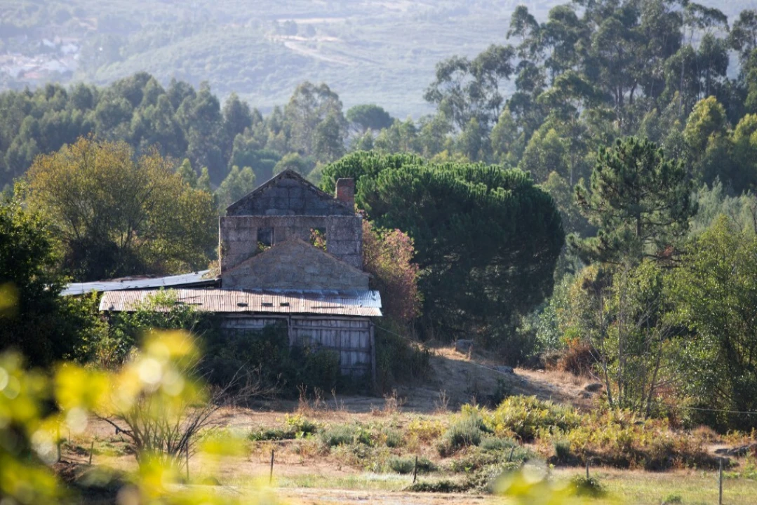 Quinta T5 para Venda em Moimenta da Serra e Vinhó Foto 26