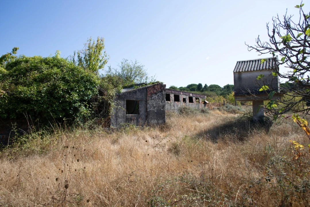 Quinta T5 para Venda em Moimenta da Serra e Vinhó Foto 27