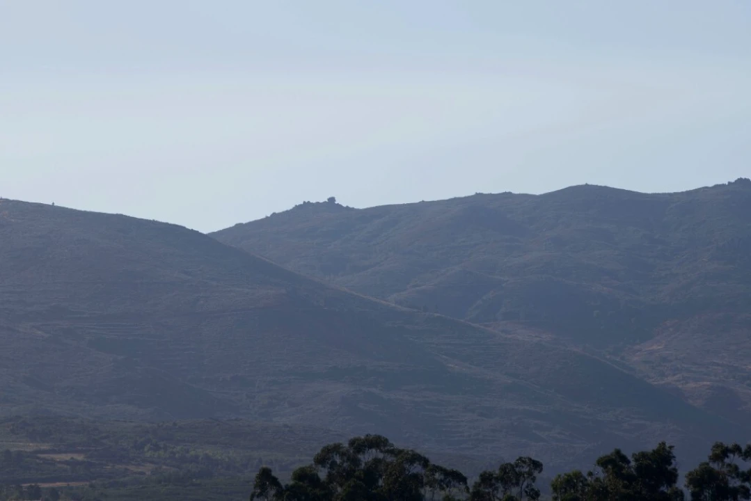 Quinta T5 para Venda em Moimenta da Serra e Vinhó Foto 4